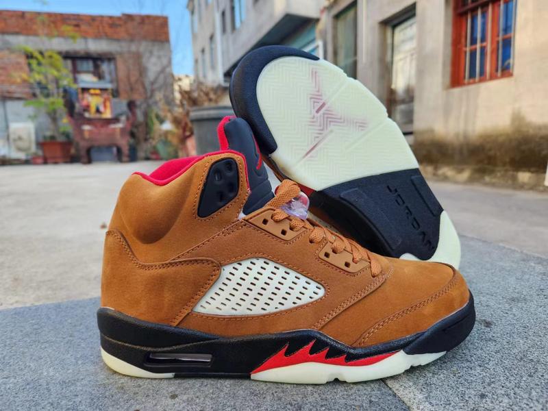 Air Jordan 5-245